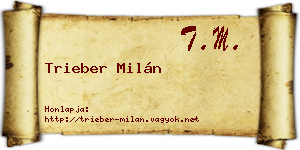 Trieber Milán névjegykártya